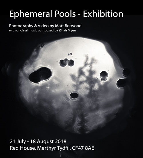 Ephemeral Pools Exhibition